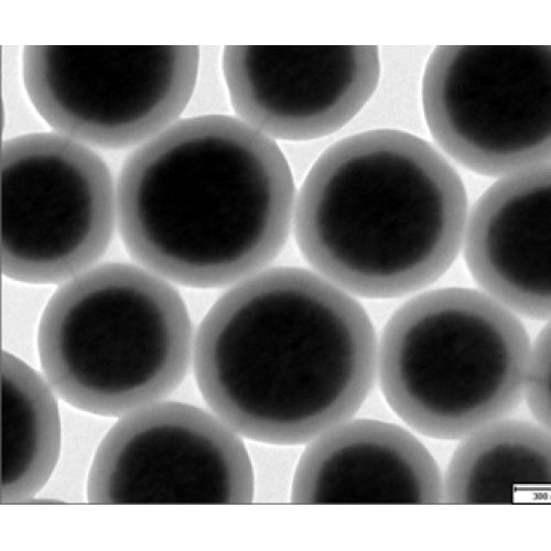 Particules magnétiques MagenStar MS500-SiOH